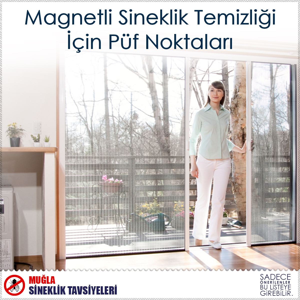 Magnetli Sineklik Temizliği İçin Püf Noktaları : Kapak Görseli